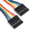 Buy Jumper Wire - 0.1", 6-pin, 12" in bd with the best quality and the best price
