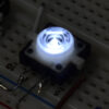 Buy LED Tactile Button- White in bd with the best quality and the best price
