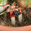 Buy SparkFun Soil Moisture Sensor (with Screw Terminals) in bd with the best quality and the best price
