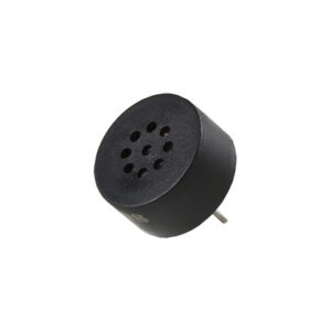 Buy Through-Hole Speaker in bd with the best quality and the best price