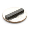 Buy 2mm 10pin XBee Socket in bd with the best quality and the best price