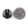 Buy Black Knob - 15x19mm in bd with the best quality and the best price